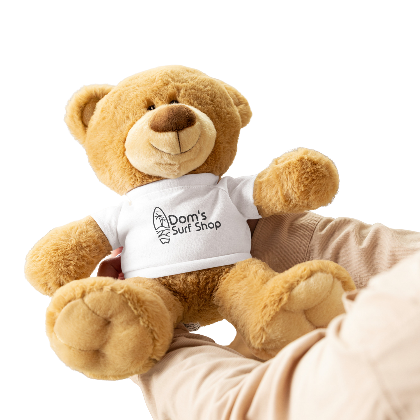 Teddy bear with a t-shirt