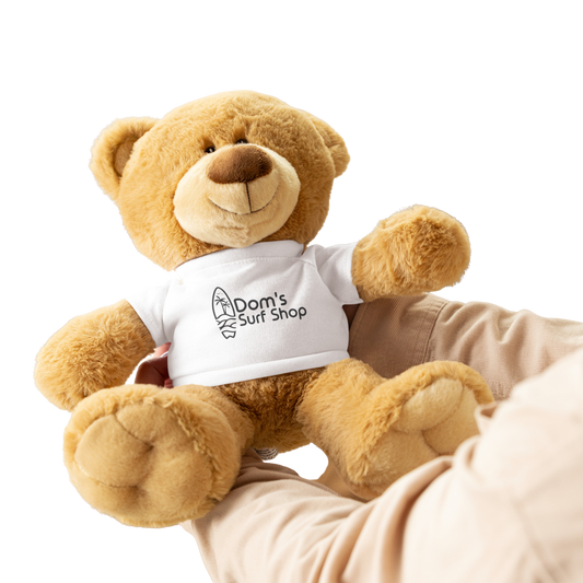 Teddy bear with a t-shirt